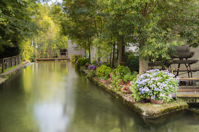 Scenic view of lake in park