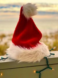 Rear view of red christmas tree against sky