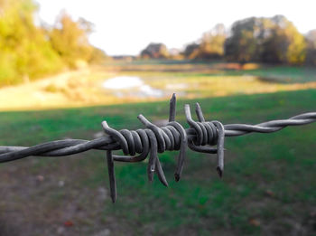 Close-up of barbed wire on field against sky