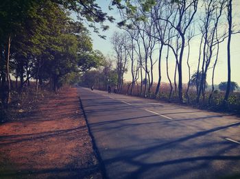 Road amidst trees in forest against sky