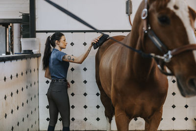 Woman in stables grooming horse with brush