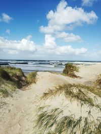 Scenic view of beach against cloudy sky