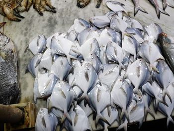 High angle view of fish for sale