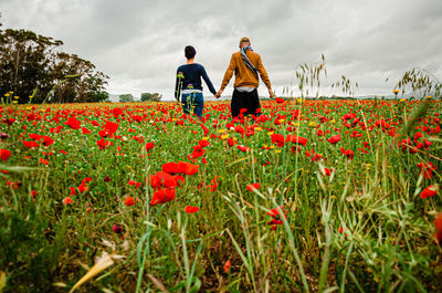 Couple back to back, hand in hand, in a field of red poppies