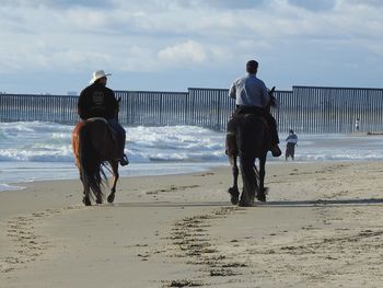 Rear view of man riding horse on beach