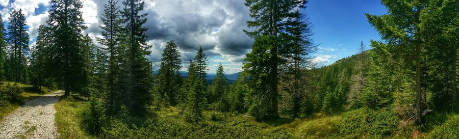 Scenic view of landscape against cloudy sky