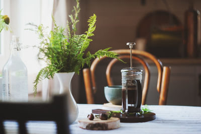 Potted plant on table