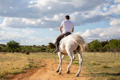 Rear view of man riding horse on land against sky