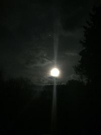 Low angle view of trees against sky at night