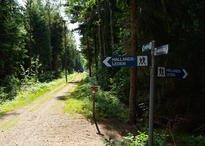 Road sign by trees in forest