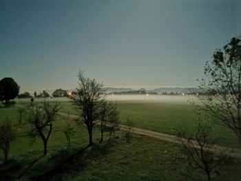 Scenic view of field against clear sky