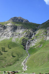 mountain