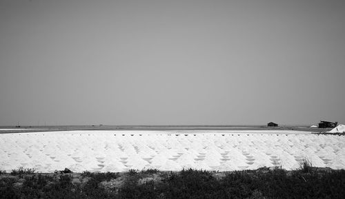 Scenic view of agricultural field against clear sky
