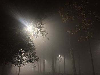 Low angle view of illuminated lights at night