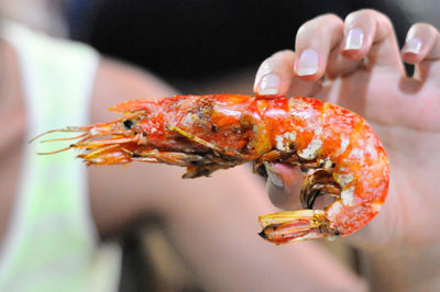 Cropped hand of woman holding crab