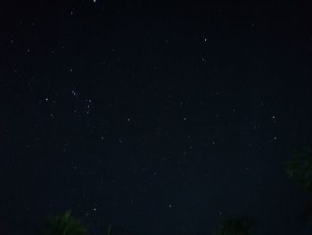 Low angle view of star field against sky at night