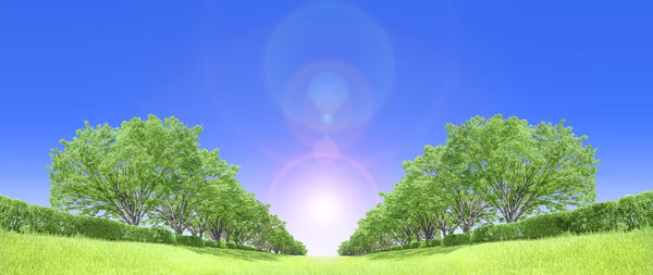 Digital composite image of trees against clear blue sky