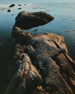 Close-up of rock formation in sea