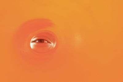 Close up of orange light