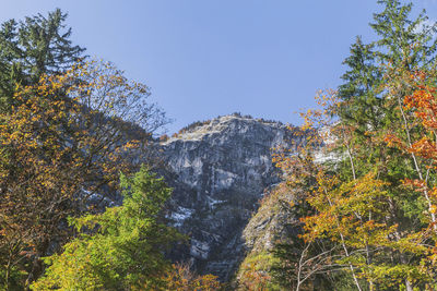 autumn