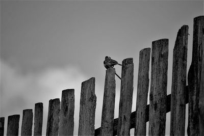 Low angle view of wooden post against sky