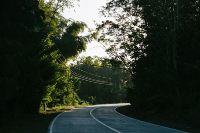 Road amidst trees in forest against sky