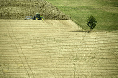High angle view of man in field