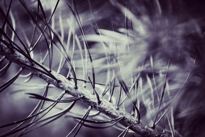 Close-up of object on wall