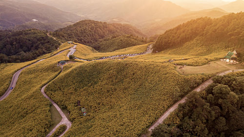 High angle view of road amidst landscape