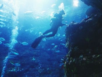 Man swimming underwater