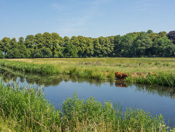 Ulft in the netherlands