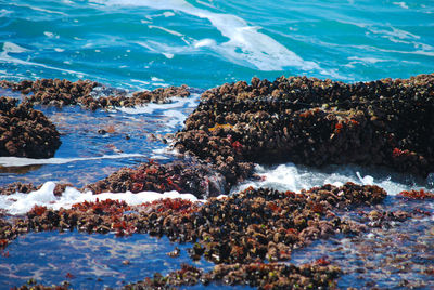 Scenic view of rocky beach