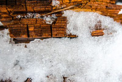 Close-up of frozen ice