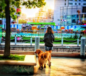 Rear view of woman with dog in city