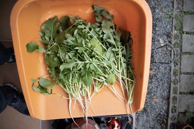 High angle view of vegetables in container