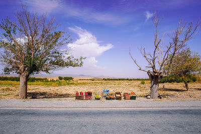 View of road by trees on field against sky