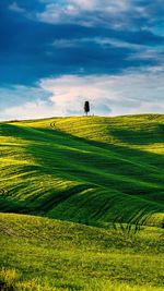 Scenic view of field against sky