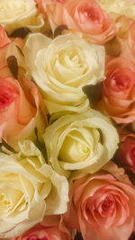 Close-up of rose bouquet