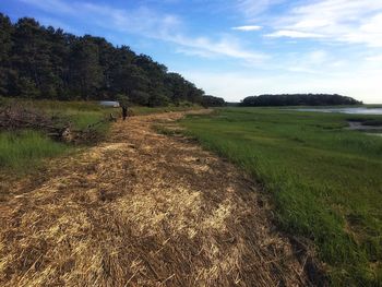 Dirt road passing through grassy field