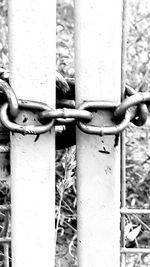 Close-up of padlock on metal fence