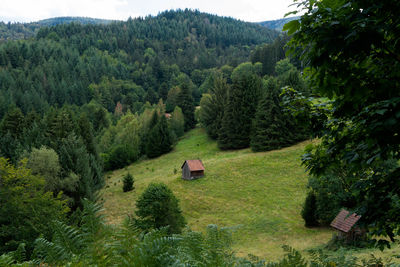 High angle view of trees on landscape