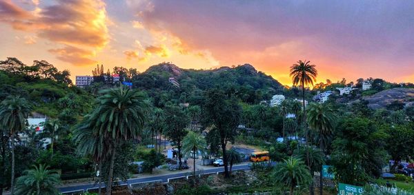 Panoramic view of palm trees against sky during sunset