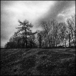 Trees on field against cloudy sky