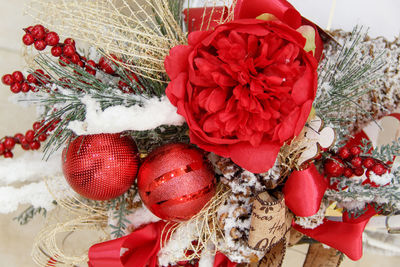 Close-up of red roses on plant