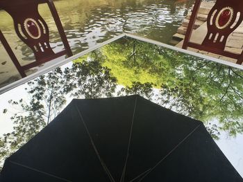 Reflection of trees in water