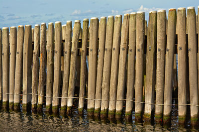 Close-up of wood against sky