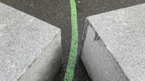 High angle view of grass