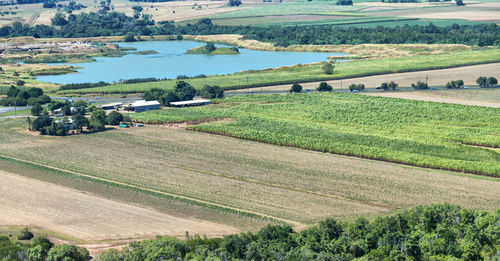 High angle view of agricultural field