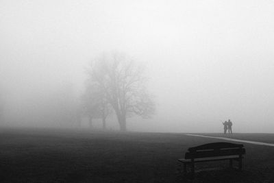 Tree and couple in a foggy scene 