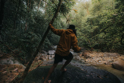 Rear view of man walking in forest